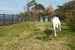 IMG_20210412_091533_6
