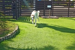 IMG_20210412_091544_3