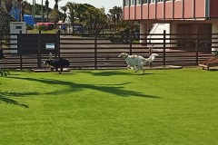 IMG_20210412_092022_2