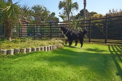 IMG_20210412_092302_7