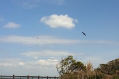 IMG_20210412_093500_8