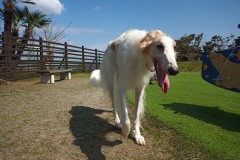 IMG_20210412_093638_1