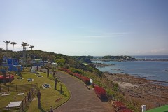 IMG_20210412_094858_6