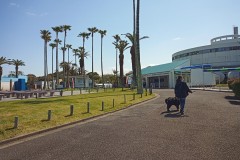 IMG_20210412_095320_2