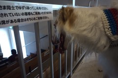 IMG_20210412_103320_2