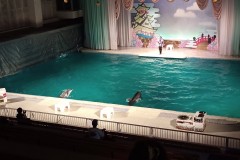 IMG_20210412_104645_7