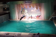 IMG_20210412_104722_1