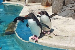 IMG_20210412_100922_3