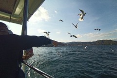 IMG_20210412_152756_7