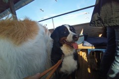 IMG_20210412_153558_8