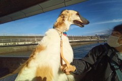 IMG_20210412_154531_7