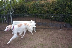 IMG_20210412_171859_1