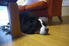 IMG_20210413_161108_0