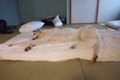 IMG_20210413_164505_9