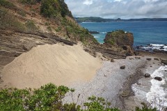 IMG_20210414_113424_5