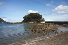 IMG_20210414_120622_1