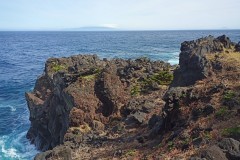 IMG_20210414_140957_7