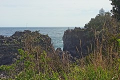 IMG_20210414_141051_4