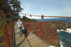 IMG_20210414_142036_7