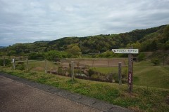 IMG_20210415_090600_5