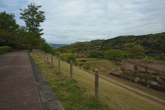 IMG_20210415_090613_7