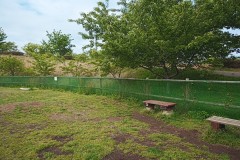 IMG_20210415_091000_0