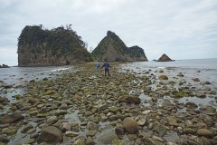 IMG_20210415_111429_3
