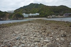 IMG_20210415_112637_8