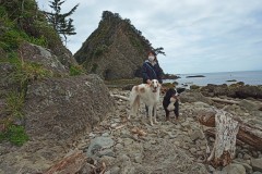 IMG_20210415_112747_8