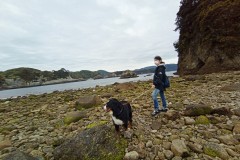IMG_20210415_113156_2