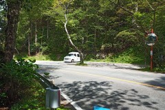 IMG_20210415_121420_7