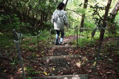 IMG_20210415_121424_8