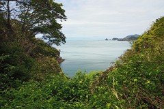 IMG_20210415_121558_2