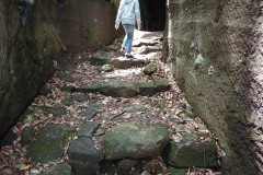 IMG_20210415_121625_3
