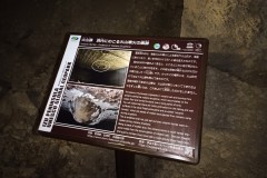 IMG_20210415_121742_0