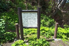 IMG_20210415_122505_3