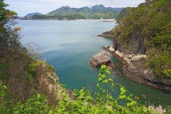 IMG_20210415_122515_5