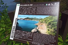 IMG_20210415_122528_4