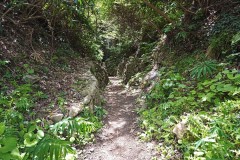 IMG_20210415_122551_8