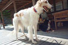 IMG_20210415_133559_0