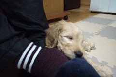 IMG_20240326_185656_6