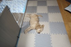 IMG_20240326_192515_7