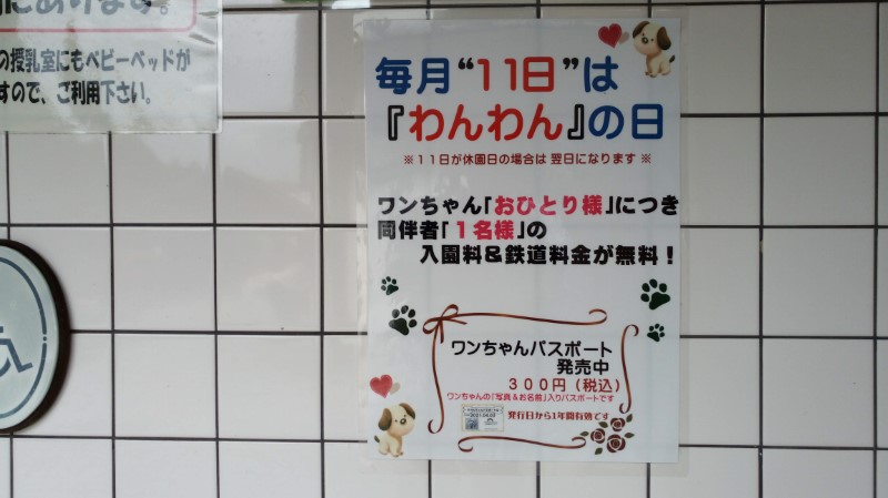 IMG_20200711_141322_4