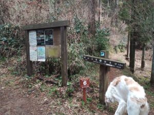 IMG_20210126_102654_9