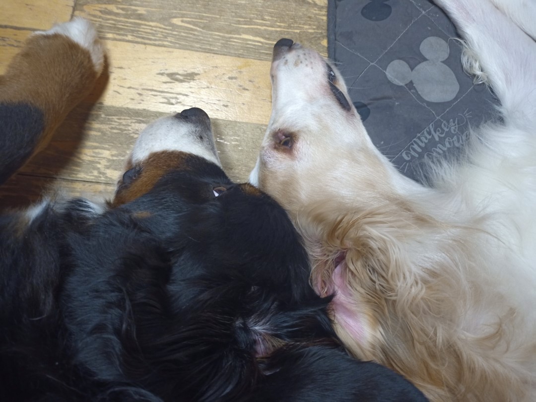 再び「奇跡は意外とある」の画 IMG_20210308_200616_3 IMG_20210308_200616_3