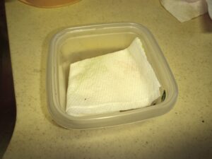 IMG_20210310_094544_6