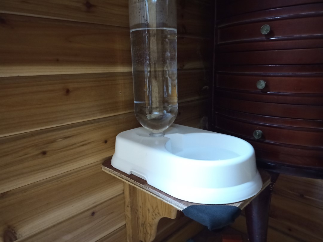 IMG_20210328_181512_4