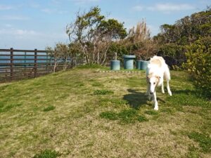 IMG_20210412_091533_6