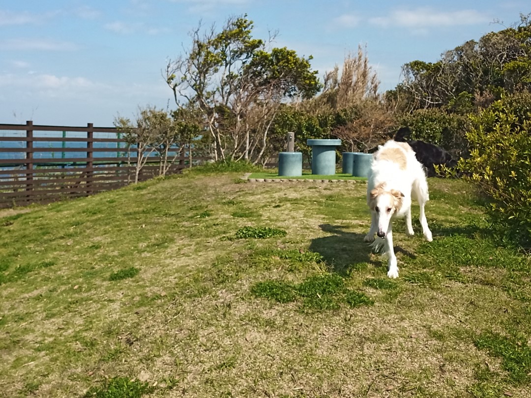 IMG_20210412_091533_6