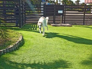 IMG_20210412_091544_3